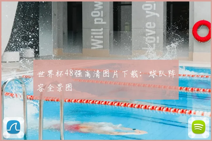 世界杯48强高清图片下载:球队阵容全景图