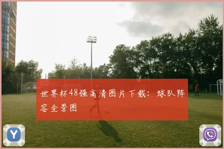 世界杯48强高清图片下载：球队阵容全景图